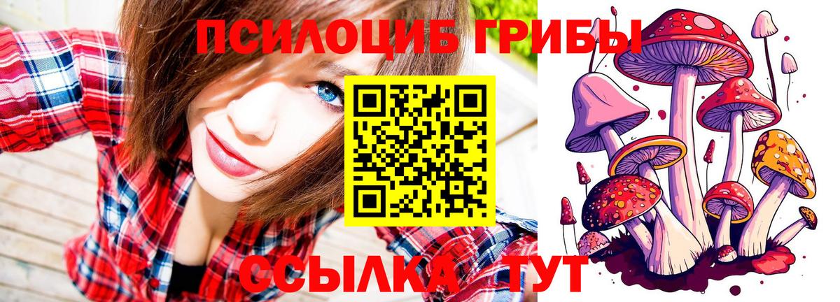 Псилоцибиновые грибы прущие грибы Майский